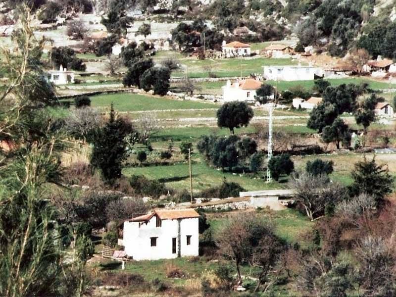 Village fields (circa 2000)